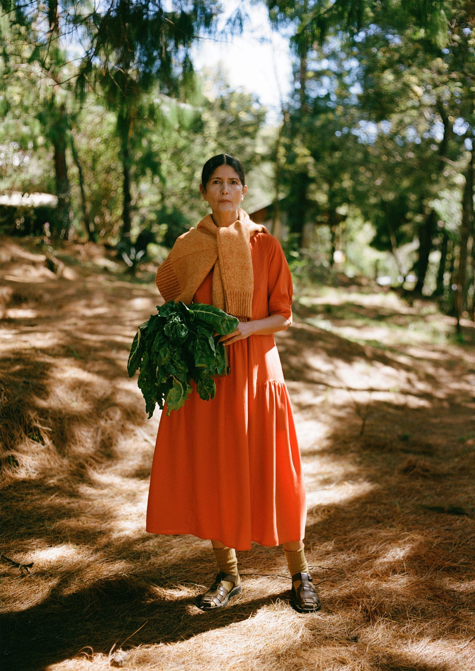 Tiered Twill Shirt Dress | Nasturtium